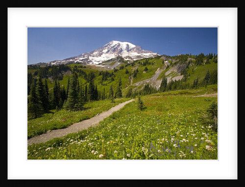 Mount Rainier National Park by Anonymous