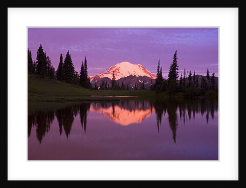 Mount Rainier and Tipsoo Lake by Anonymous