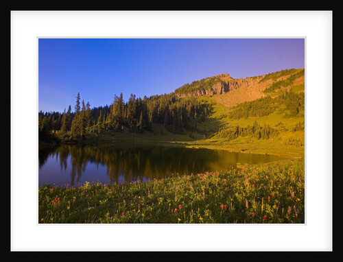 Tipsoo Lake and Naches Peak by Anonymous