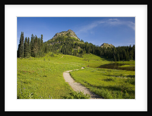 Yakima Peak and Tipsoo Lake by Anonymous