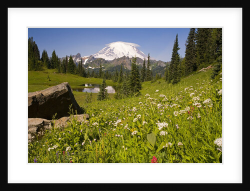 Mount Rainier National Park by Anonymous