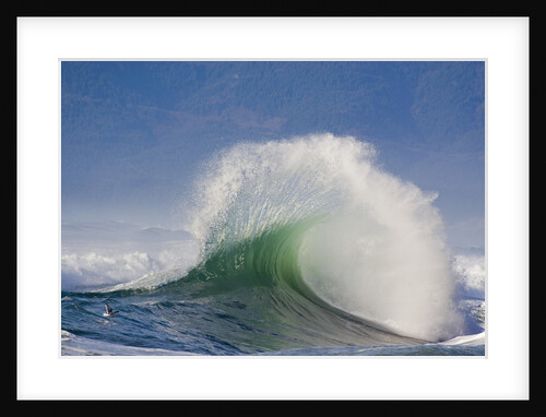 Wave Curl in Winter Storm by Anonymous