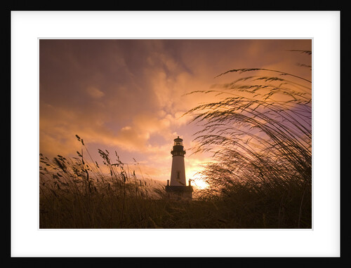 Yaquina Head Lighthouse at Sunset by Anonymous