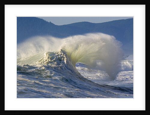 Wave Curl in Winter Storm by Anonymous