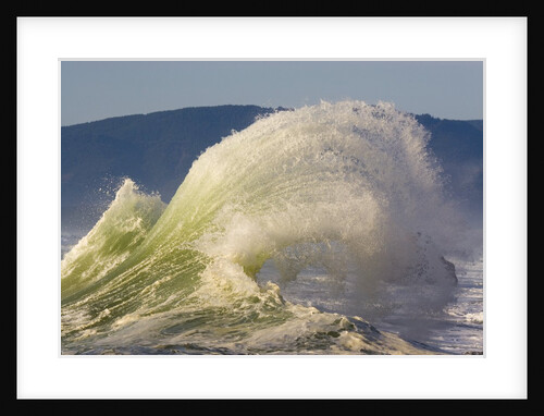 Winter Storm at Cape Kiwanda by Anonymous