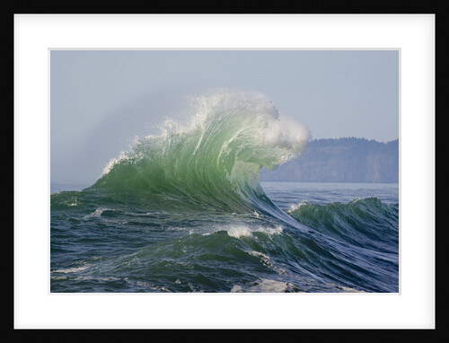 Wave Curl in Winter Storm by Anonymous