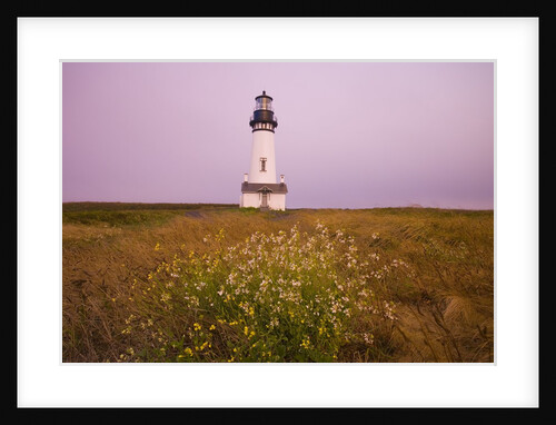 Yaquina Head Lighthouse by Anonymous