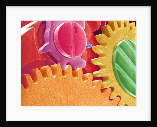 Multicolored Watch Gears by Anonymous
