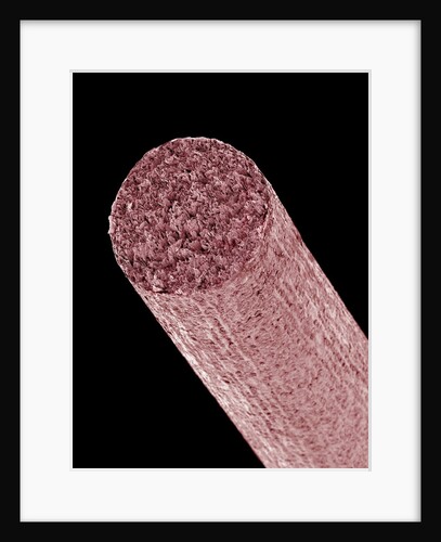 Core of Mechanical Pencil by Anonymous