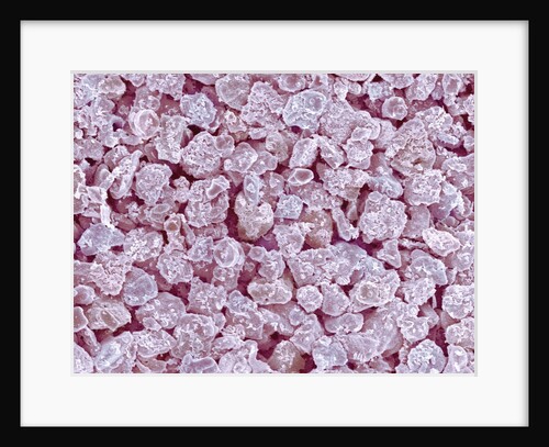 Granules Inside Fluorescent Light Bulb by Anonymous