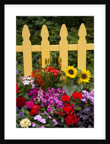 Flower Garden and Picket Fence by Anonymous