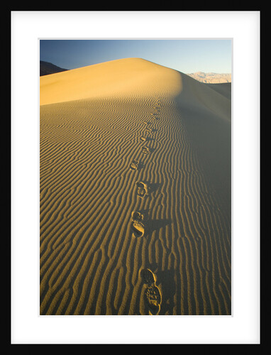 Footprints in Sand Dunes by Anonymous