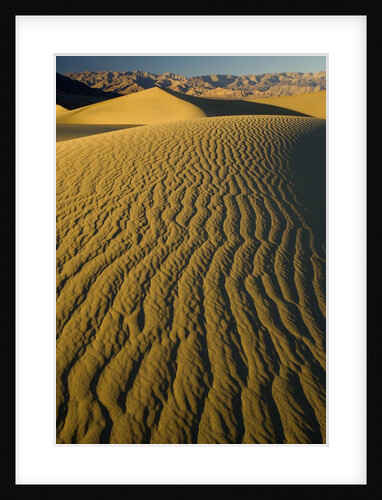 Ripples in Sand Dunes by Anonymous