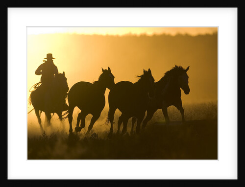 Silhouette of Cowboy Herding Horses by Anonymous