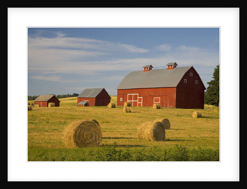 Barns and Hay Bales in Field by Anonymous