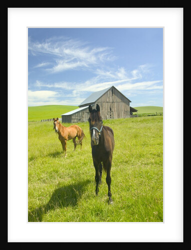Horses and Barn in Prairie by Anonymous