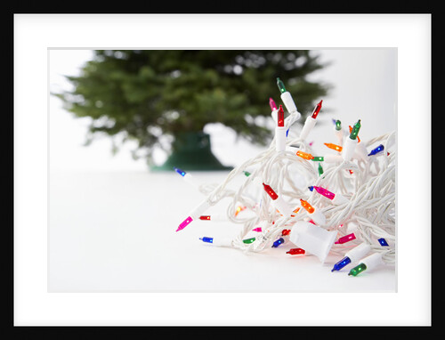 Christmas Lights in Front of Tree by Anonymous
