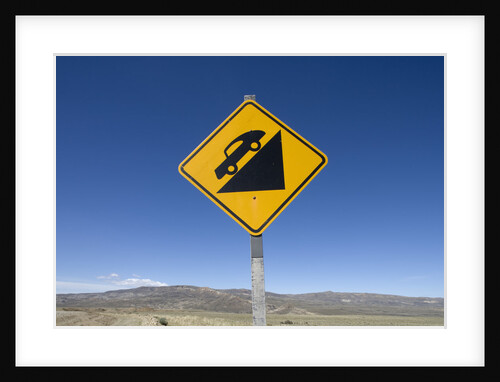 Road Sign in Patagonia, Argentina by Anonymous