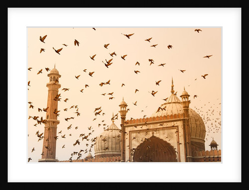 Flock of Birds Flying Around Jama Masjid Mosque by Anonymous