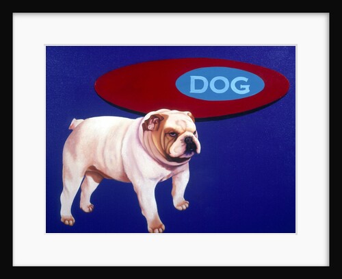 Bulldog by Anonymous