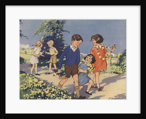 Dandelions Book Illustration by Anonymous