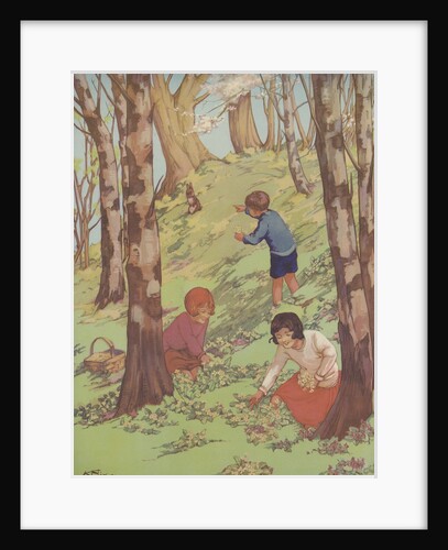 Primroses and Violets by K. Nixon