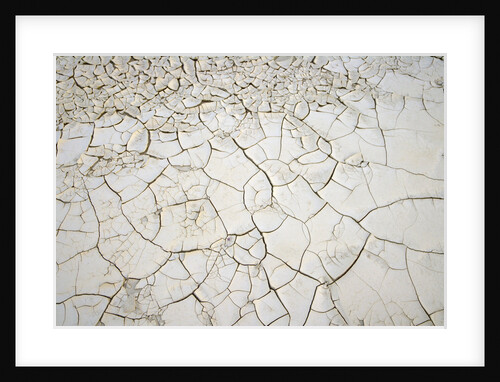 Dry Clay Pan in Badlands, Death Valley National Park by Anonymous