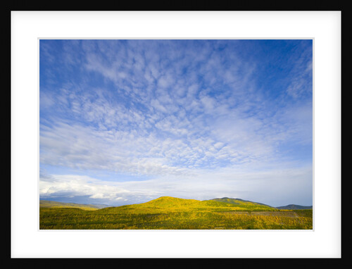 Northern British Columbia Landscape in Fall by Anonymous