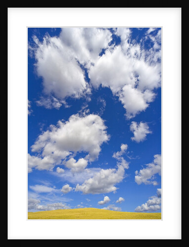 Beautiful Cumulus Clouds and Golden Prairie by Anonymous