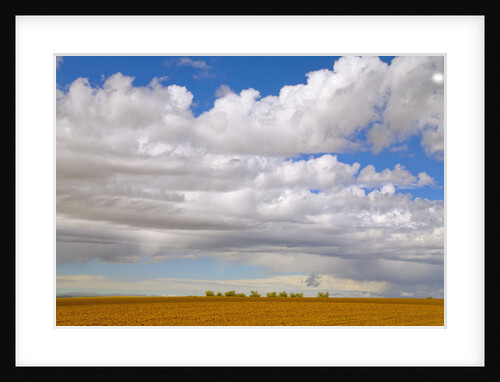 Freshly Plowed Red Earth Field and Cumulus Clouds by Anonymous
