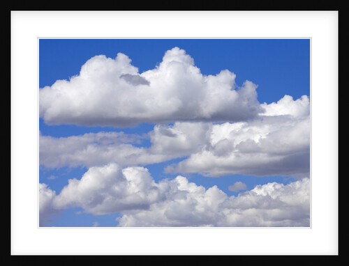 Cumulus Clouds Floating in Clear Blue Sky in Fall by Anonymous