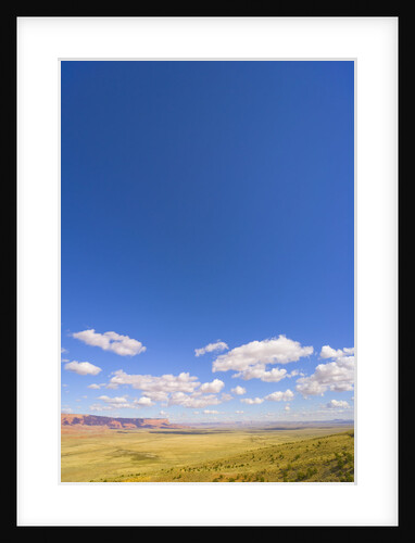Round Cumulus Clouds Above Vermilion Cliffs by Anonymous