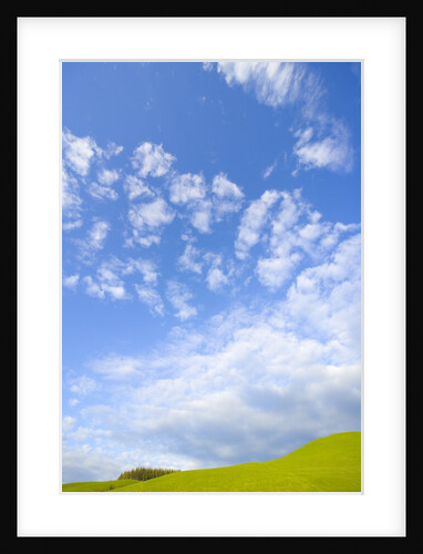 Rolling Green Hills and Dramatic Cumulus Clouds by Anonymous
