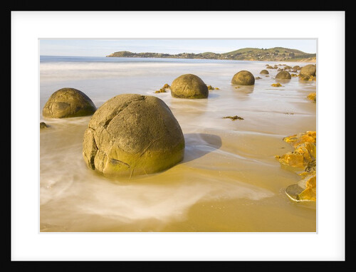 Large Moeraki Boulders on Beach by Anonymous