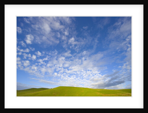 Rolling Green Hills and Dramatic Cumulus Clouds by Anonymous