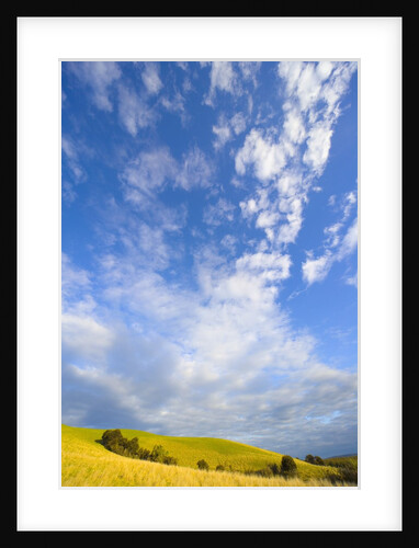 Rolling Hills and Dramatic Cumulus Clouds by Anonymous