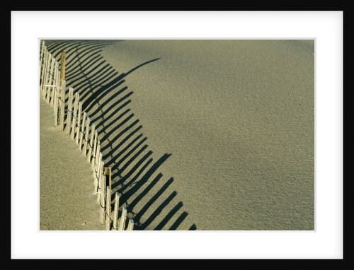 Fence in Sand by Anonymous