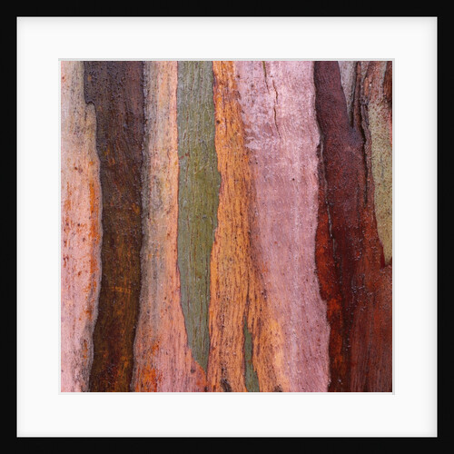 Sedimentary Strata by Anonymous