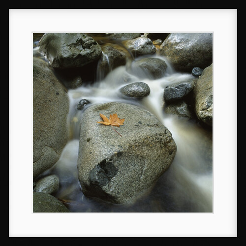 Flowing River by Anonymous