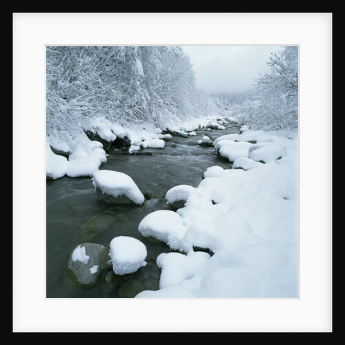 Snowy Riverbank by Anonymous