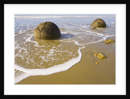 Large Moeraki Boulders on Koekoche Beach by Anonymous