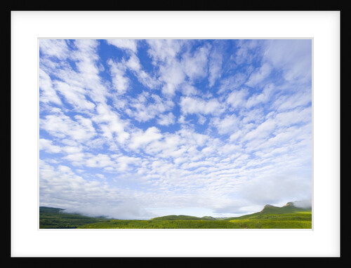 Green Hills Under Cumulus Clouds in Canada by Anonymous