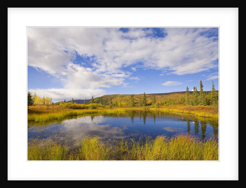 Cumulus Clouds Above Fall Tundra by Anonymous