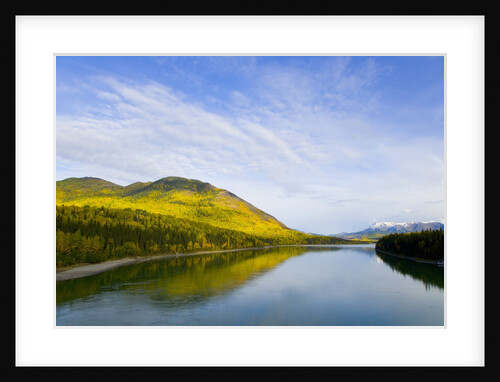 Liard River in Autumn by Anonymous