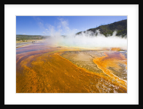 Grand Prismatic Spring in Yellowstone National Park by Anonymous