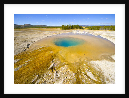 Opal Pool at Yellowstone National Park by Anonymous