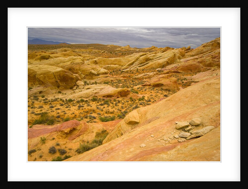 Sandstone Formations in Valley of Fire by Anonymous