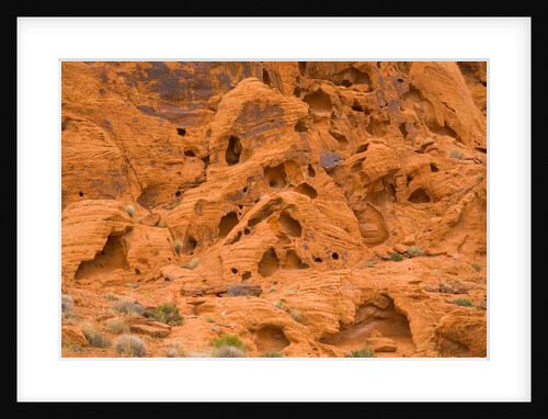 Eroded Sandstone Cliff With Holes by Anonymous
