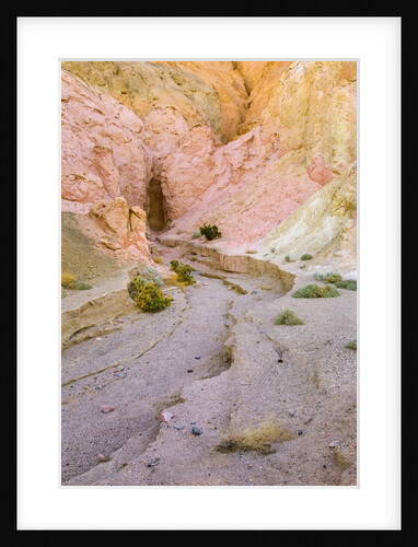 Artist's Drive in Badlands by Anonymous
