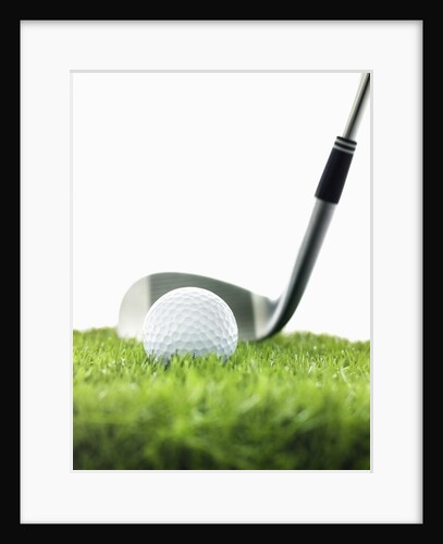 Golf Club and Golf Ball on Grass by Anonymous
